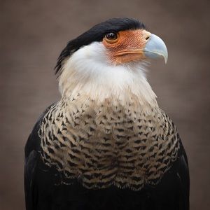 Meet your Posher, Jenn